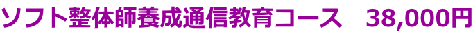 \tg̎t{ʐMR[X@38,000~